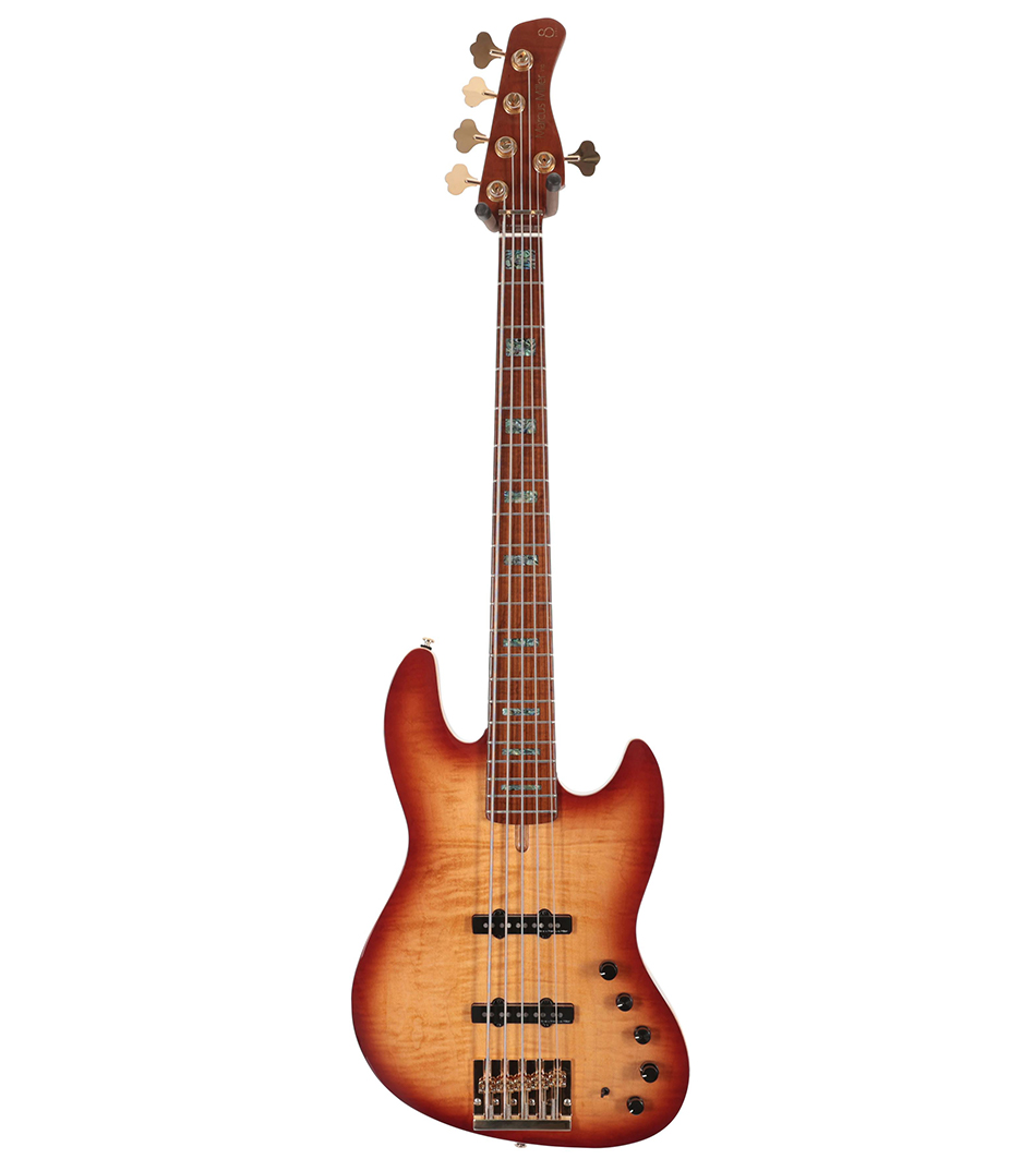 buy V10 DX-5-TS